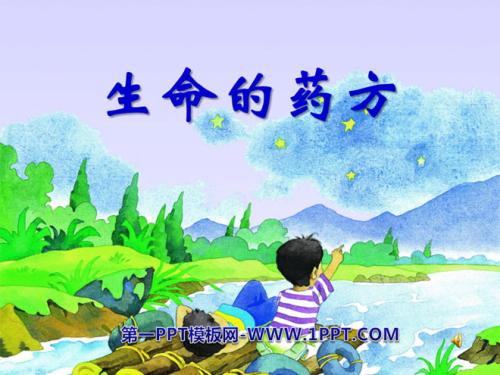 关于阅读《生命食谱》的思考