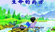 《生命的药方》读后感