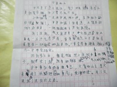 父亲的爱情作文400字