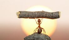 努力拼搏的作文