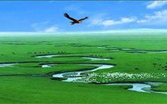 关于阅读《草原小镇》的思考