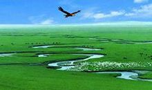 《草原小镇》读后感