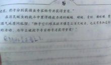 我的假期收获作文