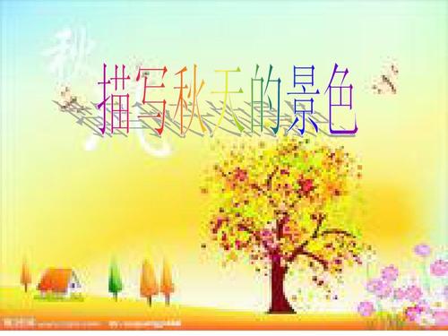 二年级秋色组成