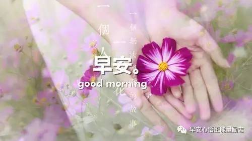 早安讯息：把握得越紧密，损失就越多