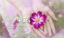 早安心语：抓的越紧，失去的越多