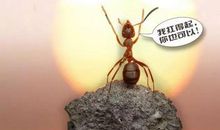 经典语录：人要耐得住寂寞，才守得住繁华