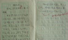 放风筝作文450字