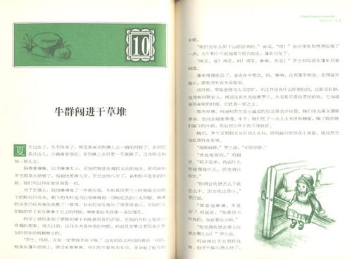 关于阅读《梅溪边》的思考