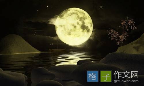 与阳光聊天和构图