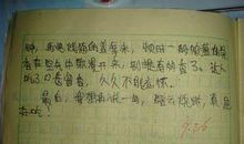 我的同桌作文350字