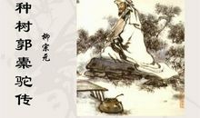 种树郭橐驼传读后感