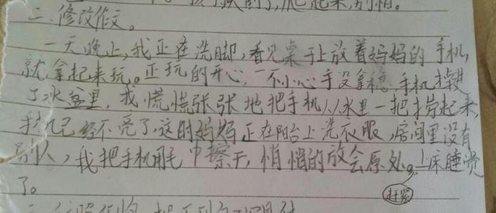 关于作弊的成分