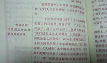 成功的喜悦作文500字