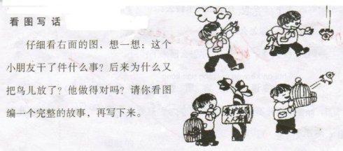 关于保护鸟类的组成