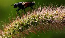 微观世界读后感