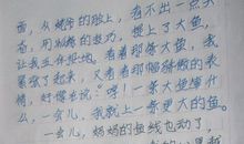 家中趣事作文500字