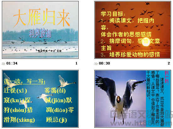 关于野鹅归还的思考