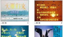 大雁归来读后感