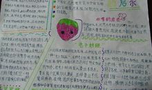 大自然启示作文