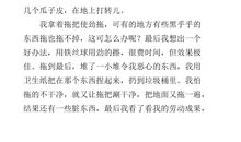 做家务的作文300字