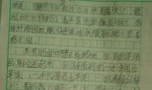 成功的喜悦作文600字