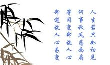 人生只若初见——再读《寻》有感