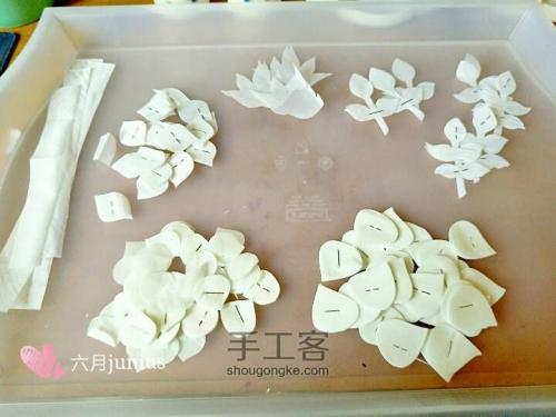 第五叶经典语录