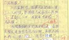 做家务的作文400字