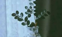 《读者》：想念