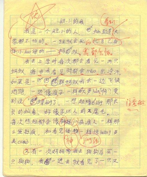 我是个胆小作文500字