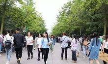 在学校发生的一件事