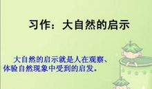 小学作文大自然的启示