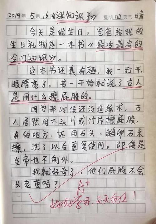 三年级作文过年好玩