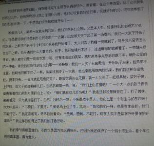 农历新年趣味作文