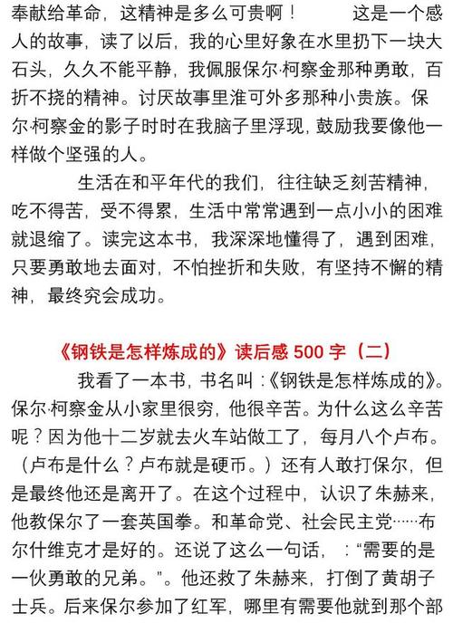 阅读作品后的高中杰作