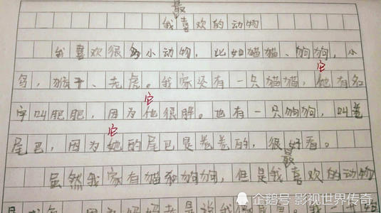 梦想成真一天组成