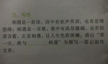 那一天我与什么相遇作文