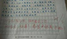 高兴的滋味作文