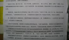 我的妈妈作文300字