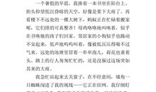 写一件事的启示