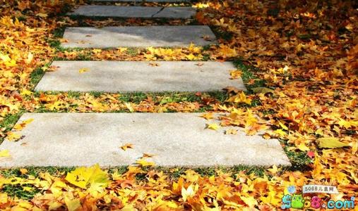 初中作文秋天校园