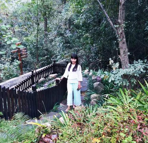 张家界一篇600字的杂文