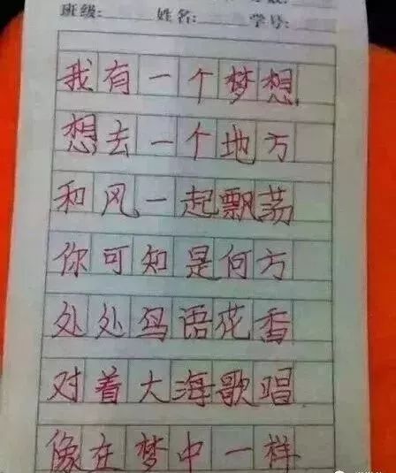 我梦想着初中作文