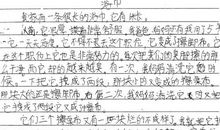 春天来了作文300字