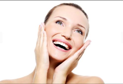 白牙英文读后感