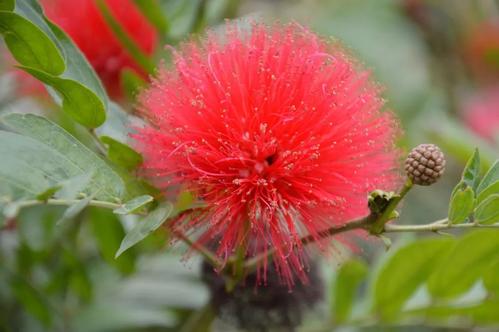 看完宽容的大地