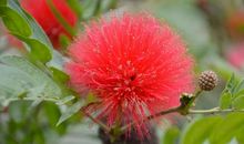 宽容的大地读后感