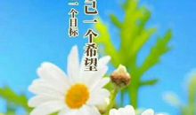 美好的一天作文