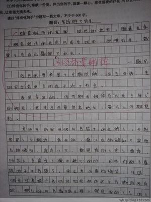 初中作文选拔600字